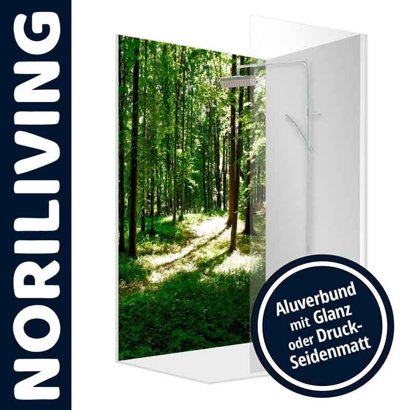 Duschrückwand mit Waldmotiv, angeboten von Noriliving, erhältlich in Aluverbund mit Glanz oder Druck-Seidenmatt