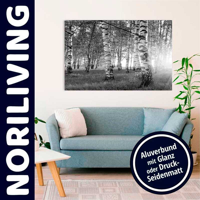 Ein Wohnzimmer mit einem blauen Sofa, Kissen und einem großen Schwarz-Weiß-Bild eines Birkenwalds an der Wand.