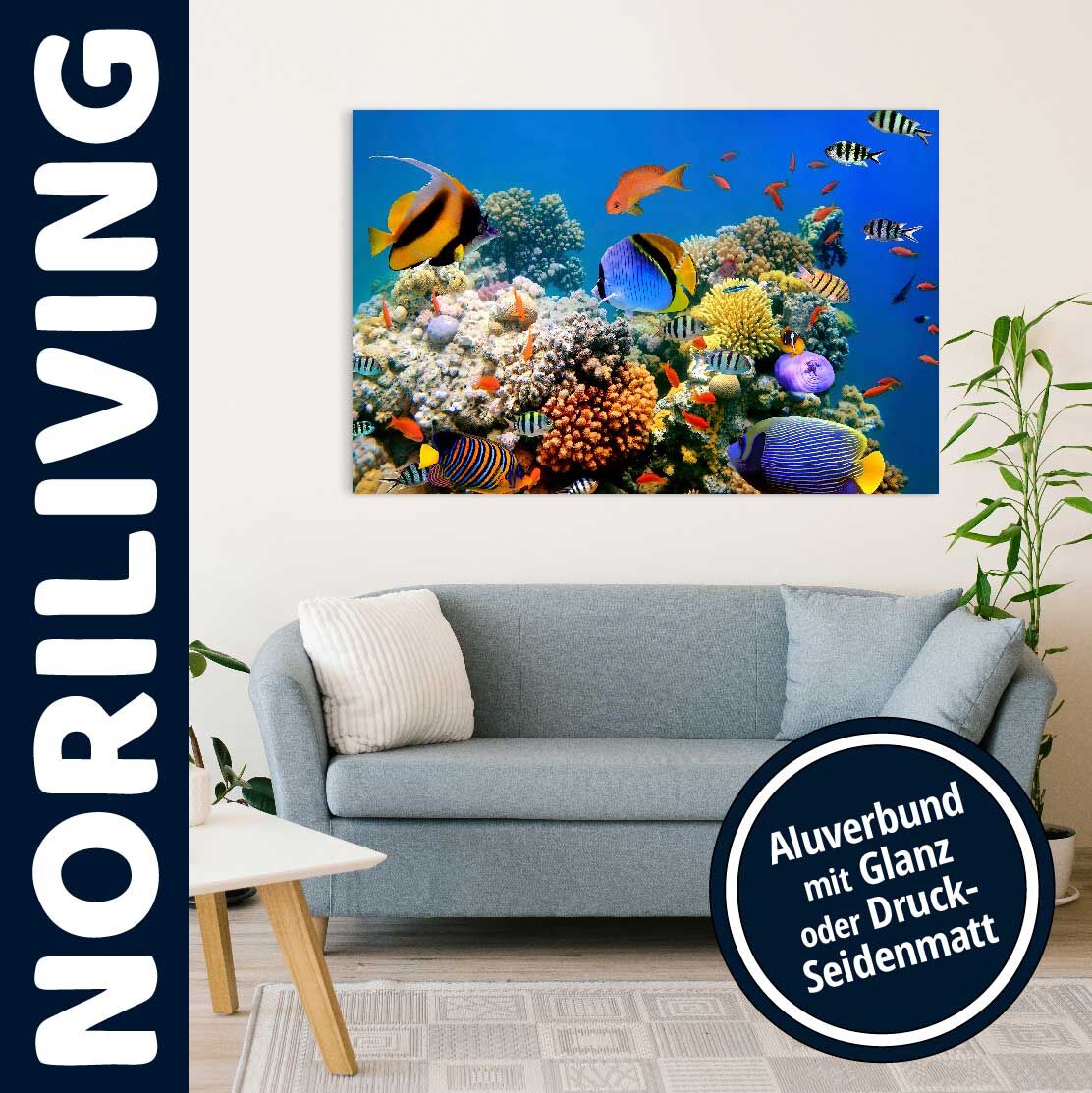 Wandbild Alu Fische im Meer 496