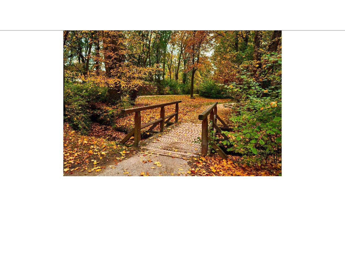 Eine kleine hölzerne Brücke überspannt einen Weg im herbstlichen Wald, umgeben von buntem Laub und hohen Bäumen.