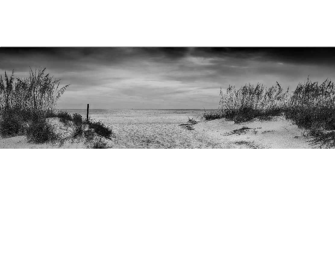 Schwarzweißbild eines leeren Strands mit Dünen und Gras im Vordergrund