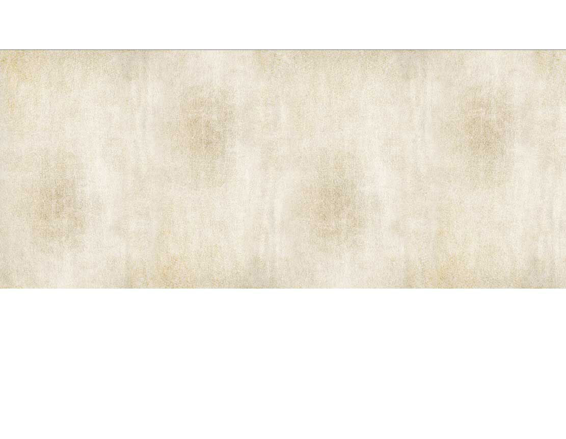 Ansicht des Motivs Badrückwand Alu verkratzte Steinmauer beige 283