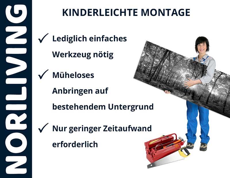 Person hält großes Bild mit Werkzeug vor sich, Text: Lediglich einfaches Werkzeug nötig, müheloses Anbringen, geringer Zeitaufwand nötig, NORILIVING