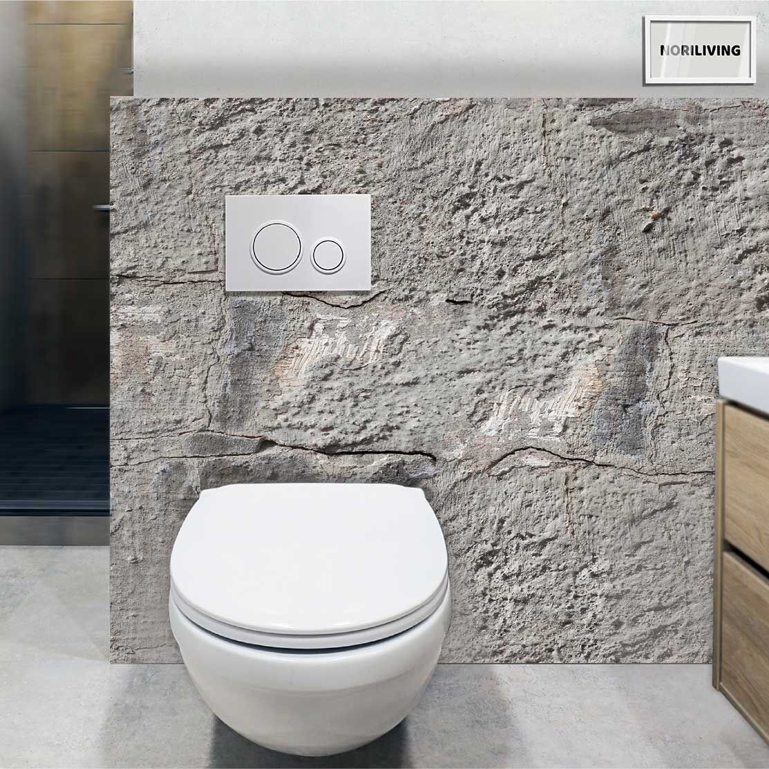im WC eingebaute Toilettenrückwand mit Motiv graue rissige Wandstruktur 219