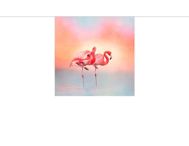 Zwei Flamingos stehen im Wasser, umgeben von orange-pinkem Sonnenuntergangshimmel