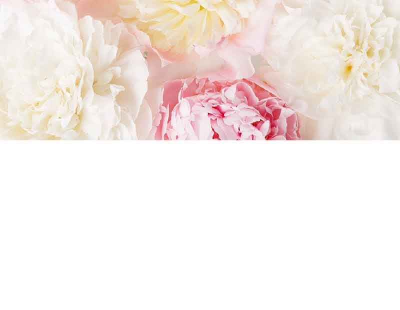 Nahaufnahme eines Bouquets mit weißen und rosafarbenen Pfingstrosen