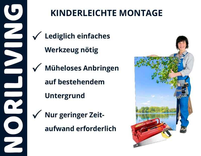 Frau mit Werkzeugkasten und Bild, einfache Montage mit NORILIVING