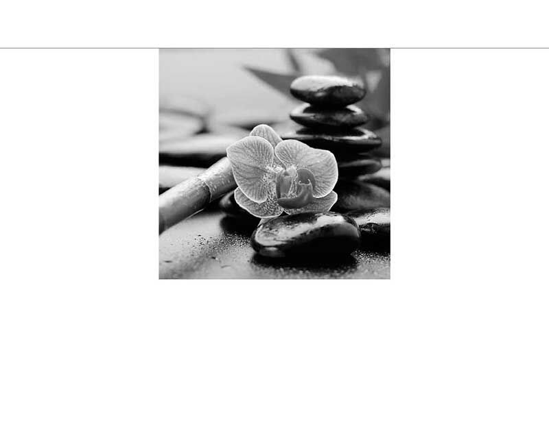 Schwarz-weiß Bild eines Zen-Gartens mit Orchidee und gestapelten Steinen