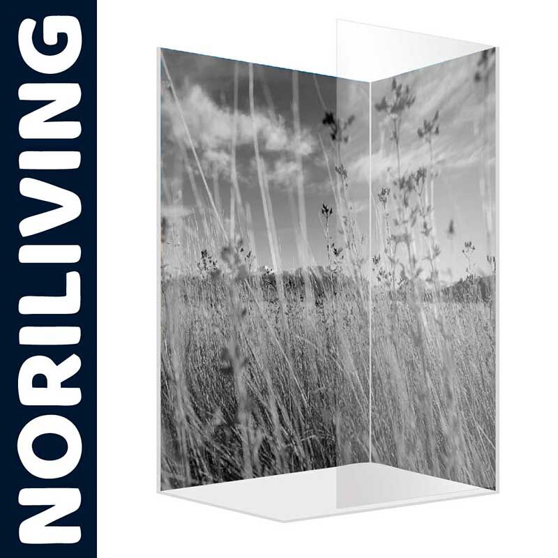 3D-Glasdekoration mit Schwarz-Weiß-Fotografie von Gräsern