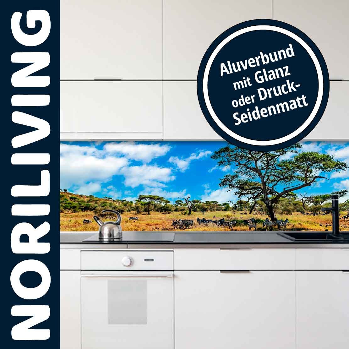 Küchenrückwand mit afrikanischem Savannenmotiv, erhältlich in Aluverbund mit Glanz oder Druck-Seidenmatt von Noriliving