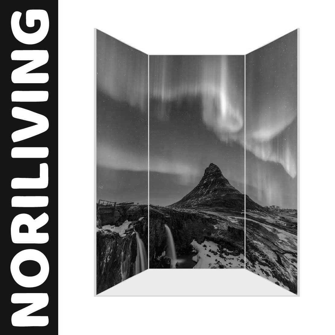 Abbildung einer Nischen-Duschrückwand mit Motiv Nordlicht Aurora borealis 090 schwarz-weiß