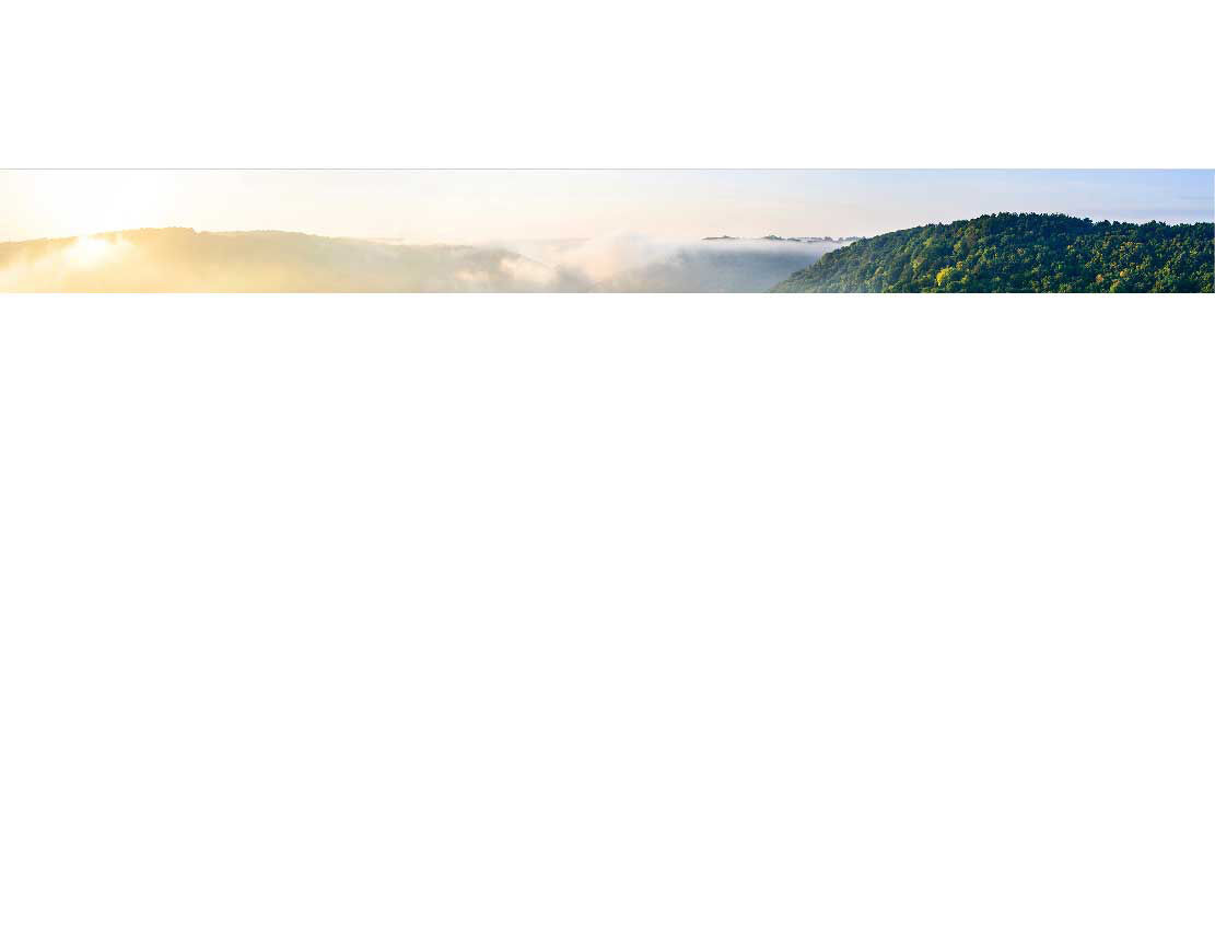 Ein weites Landschaftspanorama zeigt Hügel und Wälder im Morgenlicht, während Nebel über das Tal zieht.