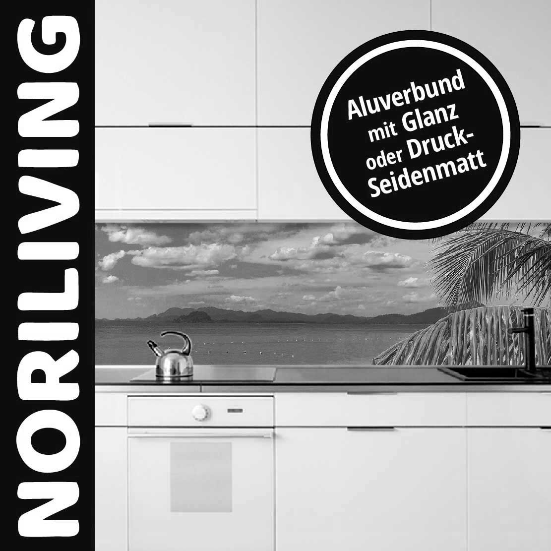 Moderne Küche mit glänzender oder seidenmatter Aluverbund-Rückwand und Landschaftsbild