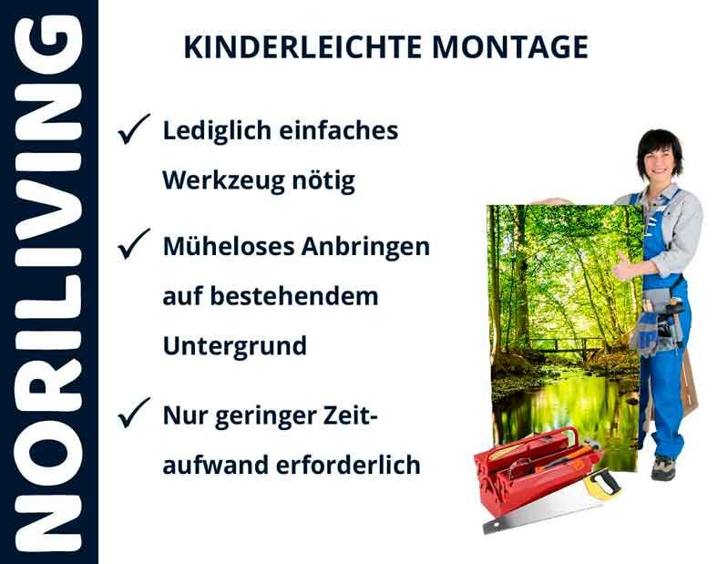 Frau mit Bild und Werkzeugkasten demonstriert einfache Montage von NORILIVING Produkten