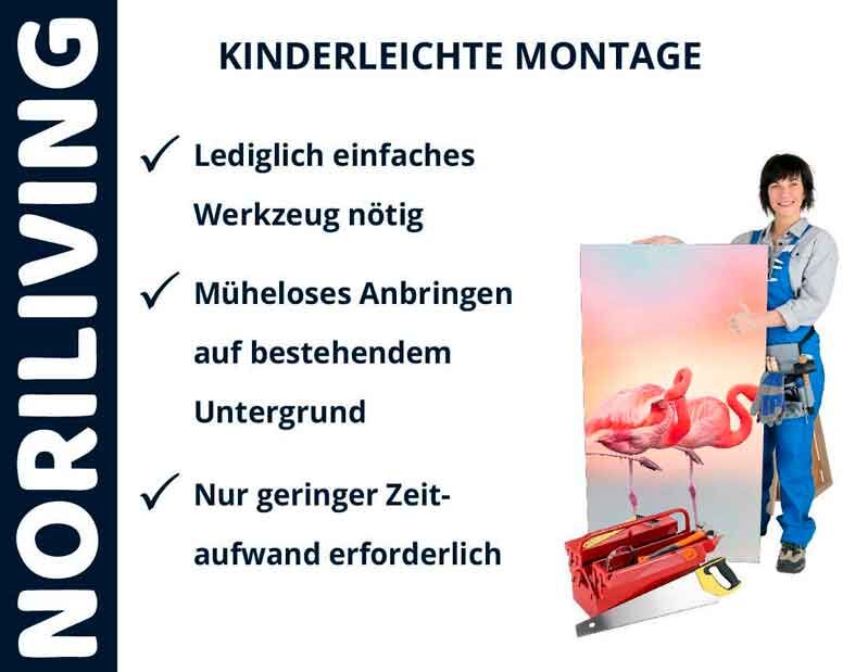 Montageanleitung Noriliving: Frau mit Flamenco-Bild und Werkzeug für kinderleichte Anbringung