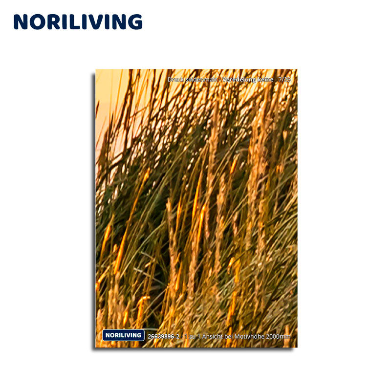 Gräser im Sonnenuntergang, detailreiches Poster von NORILIVING