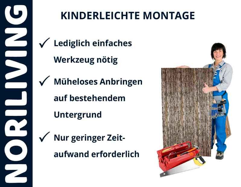 Fröhliche Handwerkerin mit Werkzeugkiste und Holzplatte, einfache Montage ohne großen Aufwand