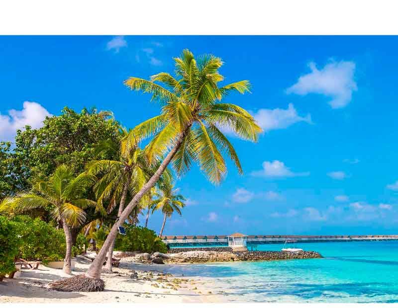 Traumhafter Strand mit Palmen, weißem Sand und kristallklarem Wasser vor blauem Himmel