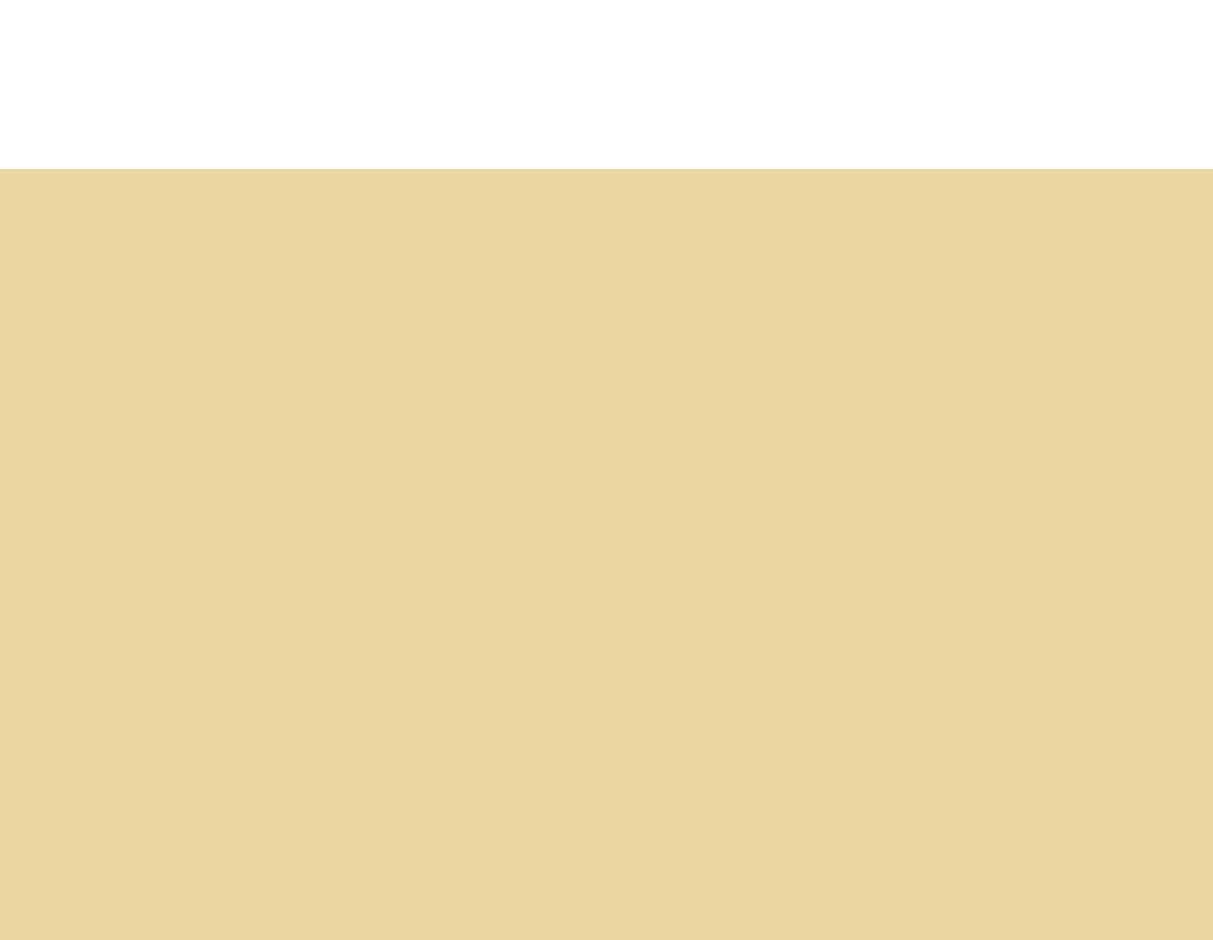 Ansicht des Küchenrückwand-Motivs Unifarbe Beige 2339