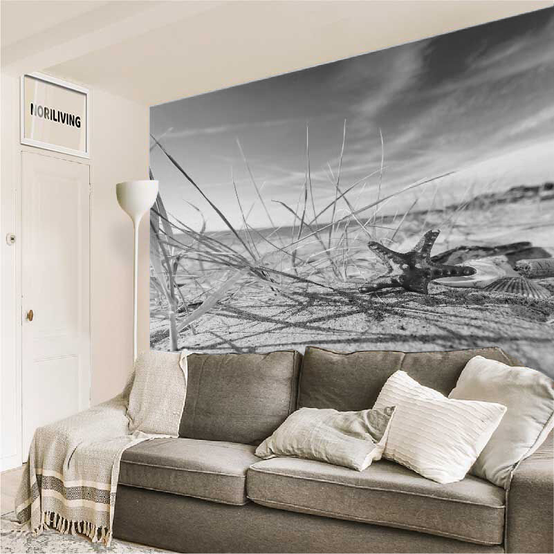 im Wohnzimmer eingebaute Wohnzimmerrückwand mit Motiv Seesterne und Muscheln am Strand 442 schwarz-weiß