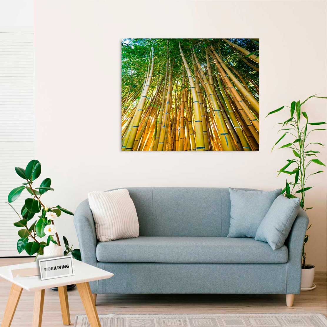 Wandbild über dem Sofa mit Motiv Bambus 726