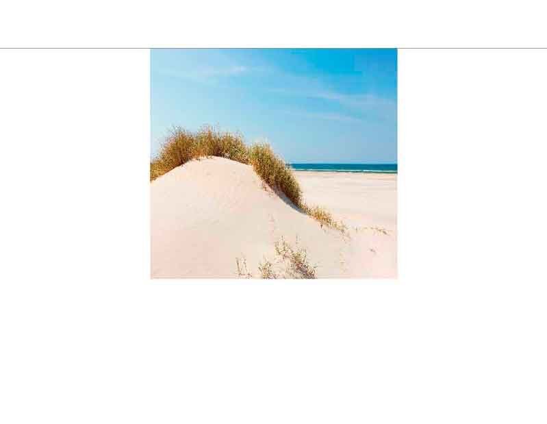 Idyllische Sanddüne am Strand mit blauem Himmel und Meer im Hintergrund