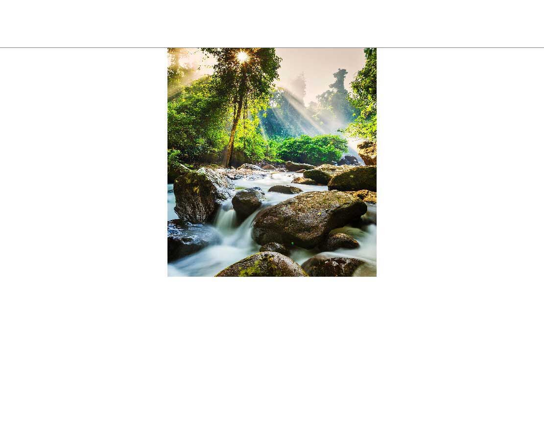 Ein naturnaher Bach fließt über Felsen, umgeben von üppigem Grün und erhellt von Sonnenstrahlen.