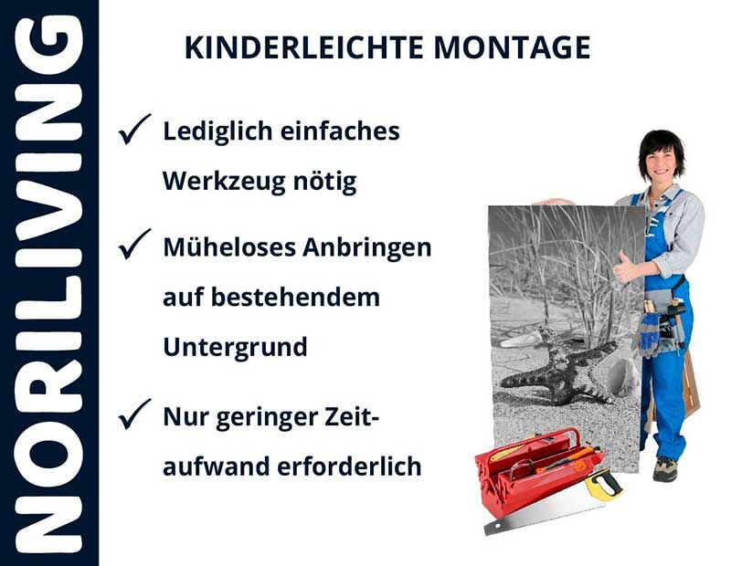 Frau mit einem Bild und Werkzeug, das eine kinderleichte Montage mit NORILIVING Produkten demonstriert. Lediglich einfaches Werkzeug nötig, müheloses Anbringen auf bestehendem Untergrund, geringer Zeitaufwand erforderlich.