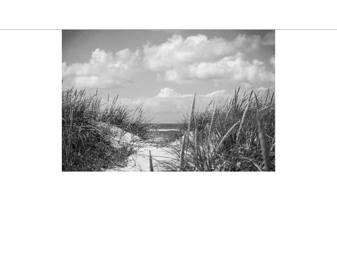 motiv sw nordsee düne
