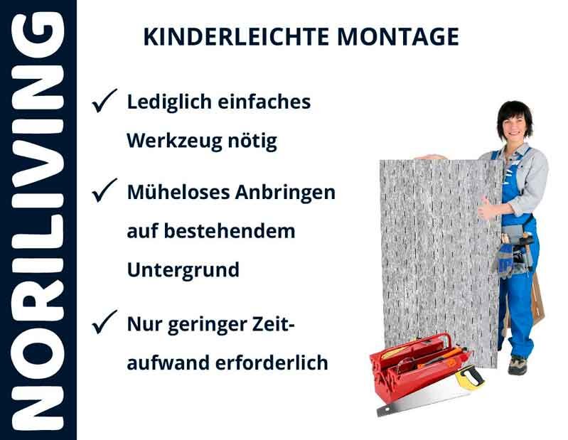 Frau hält ein Montageelement mit Werkzeugkasten, Werbung für Noriliving und einfache Montagehinweise.