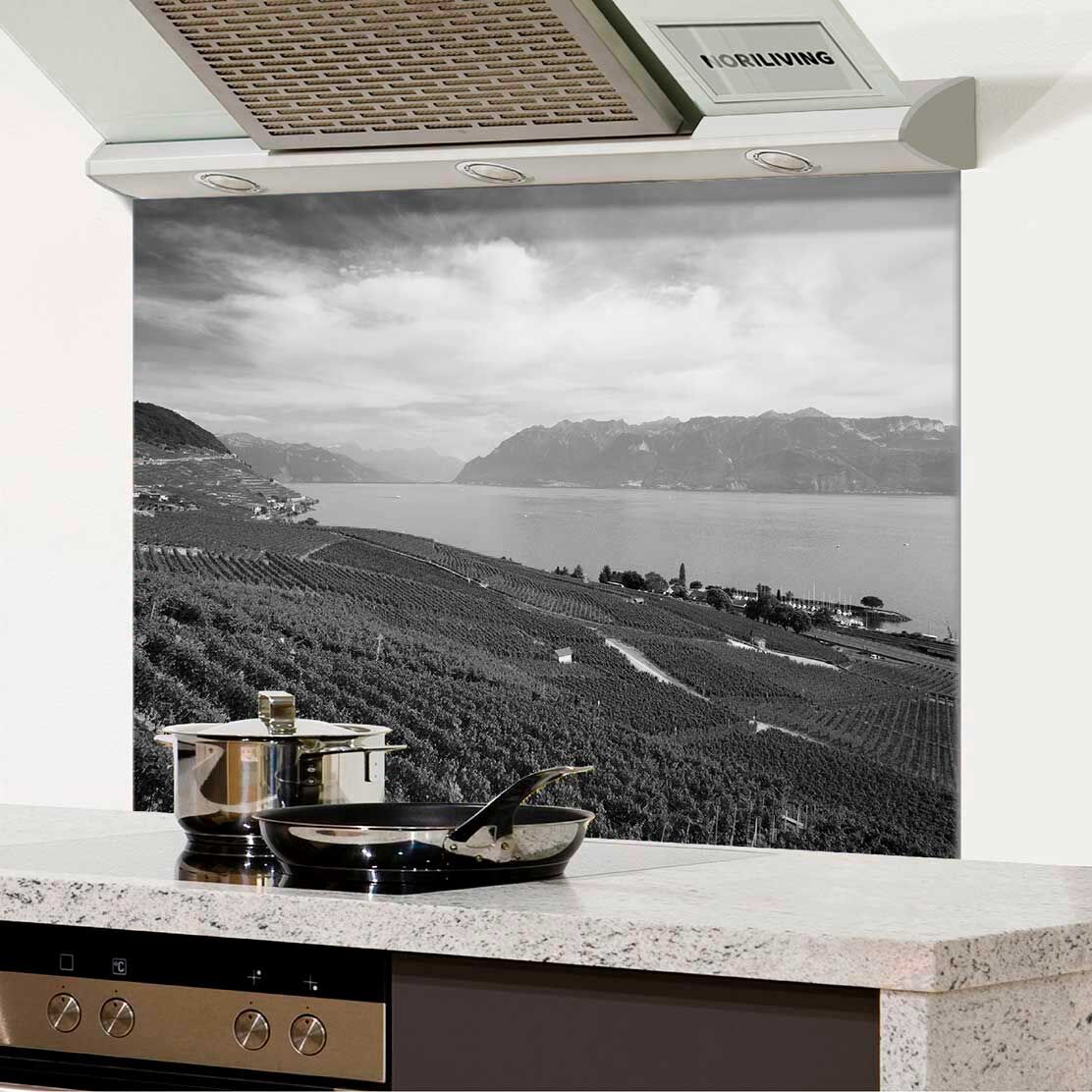 Moderne Küche mit einer Schwarz-Weiß-Foto-Küchenrückwand, die eine Landschaft mit Weinbergen und einem See zeigt.