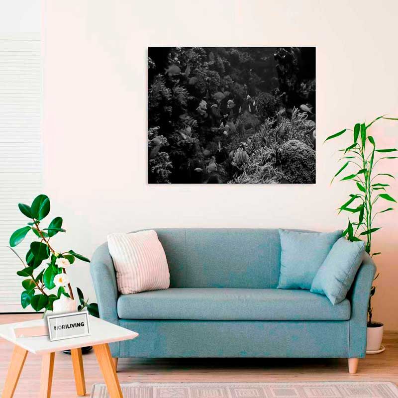 Gemütliches Wohnzimmer mit blauem Sofa, Pflanzen und einem Schwarz-Weiß-Wandbild von einem Korallenriff