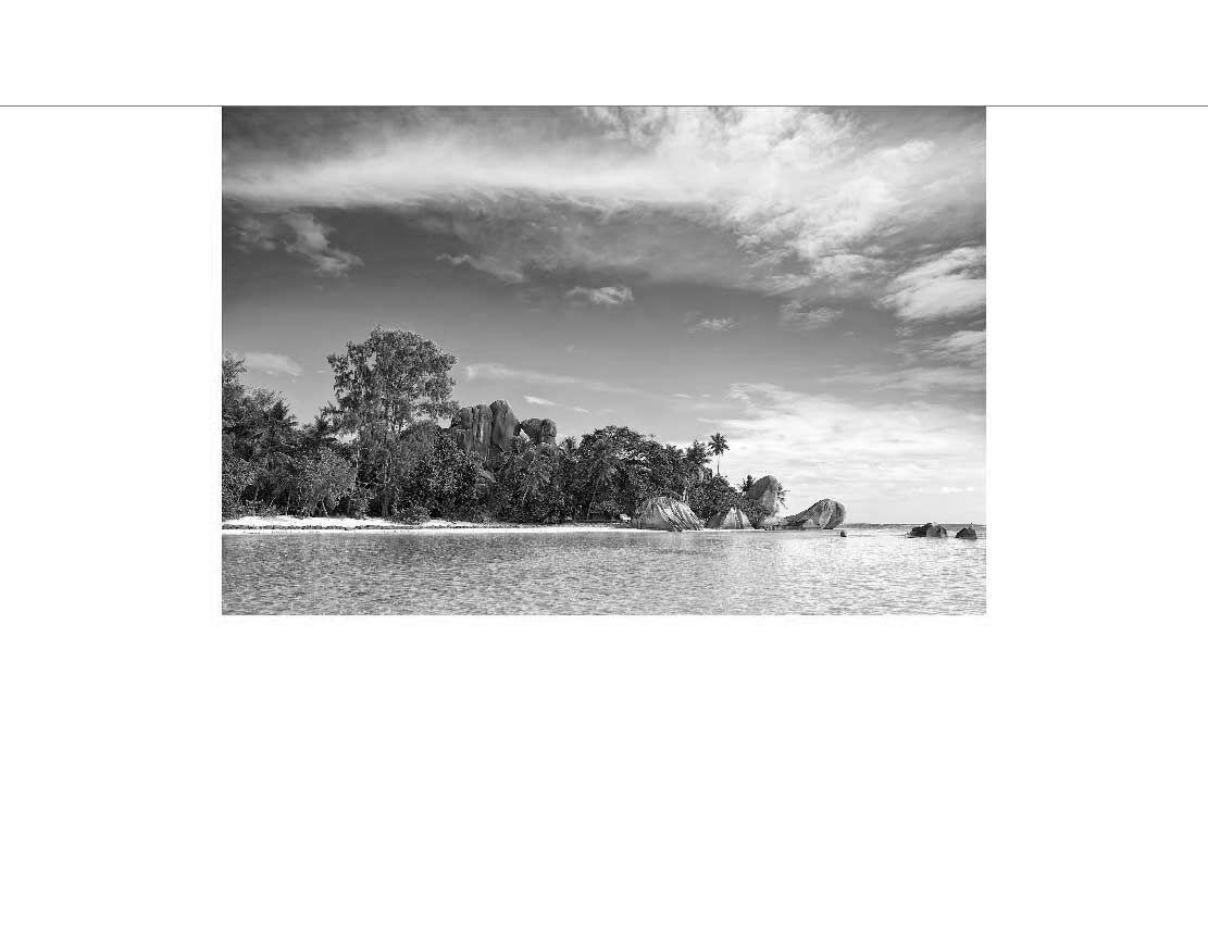 Ein ruhiger Strand mit Palmen und großen Felsen unter einem bewölkten Himmel, in Schwarzweiß aufgenommen.