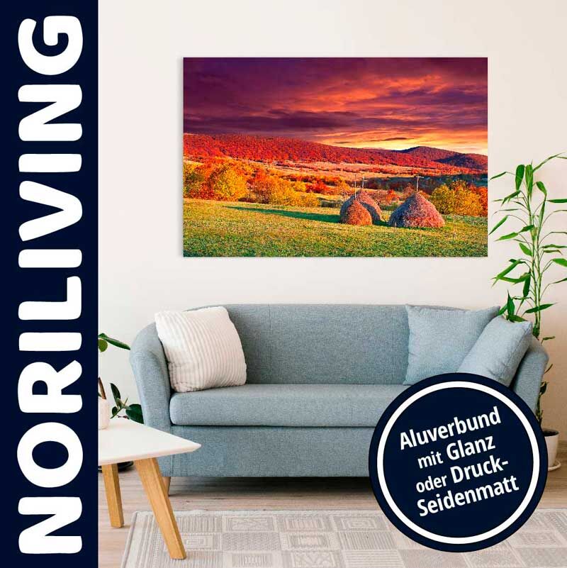 Wohnzimmer mit Sofa und einem Wandbild einer herbstlichen Landschaft auf Aluverbund, wahlweise in Glanz oder Druck-Seidenmatt.