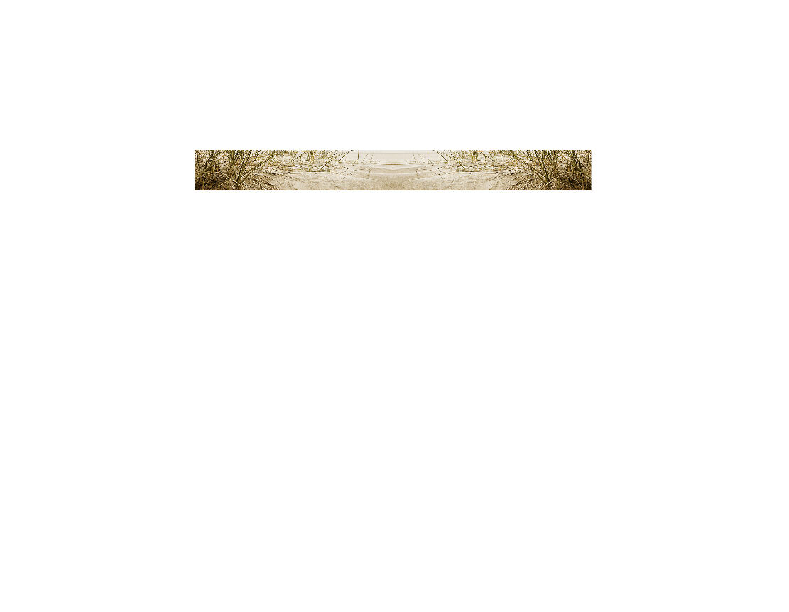 Langes, schmales Bild mit Pflanzen und Sand, dekoratives Naturdesign