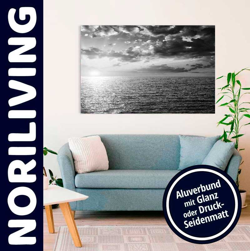 Ein Wohnzimmer mit einem blauen Sofa und einem Schwarz-Weiß-Wandbild eines Ozeans. Daneben eine Pflanze, ein Tisch und der Schriftzug 'Norliving'.