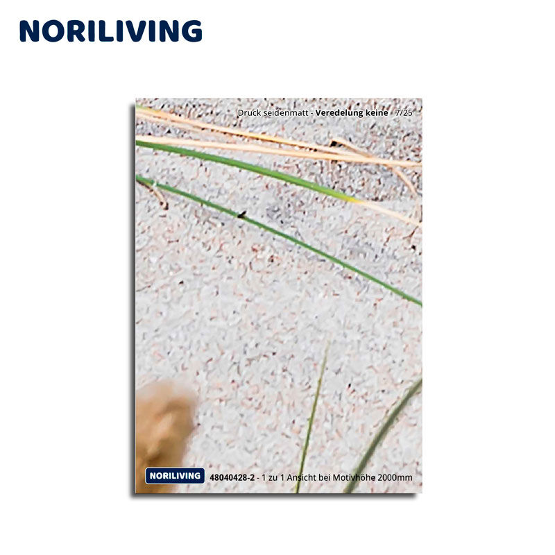 Nahaufnahme eines Noriliving Posters mit Gras und Sandstruktur, seidenmatt bedruckt, ohne zusätzliche Veredelung.