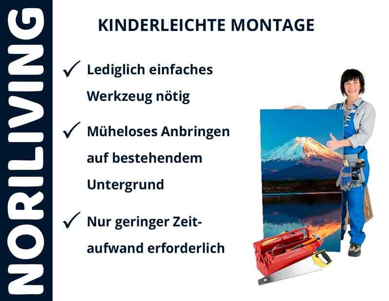 NORILIVING Promotion: Einfache Montage mit wenig Aufwand, Person mit Werkzeugkoffer und Bild.