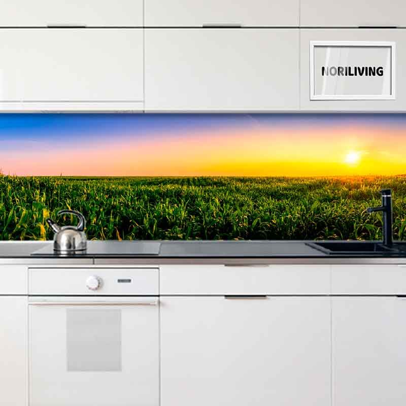 in der Küche eingebaute Küchenrückwand mit Motiv Großes Maisfeld bei Sonnenuntergang 737