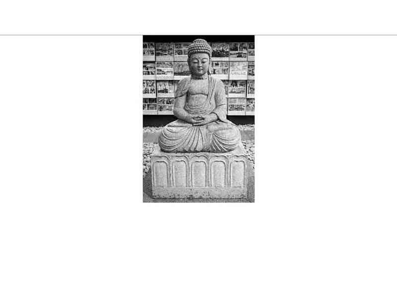 Graue Stein-Buddha-Statue in meditierender Haltung vor einem Bücherregal