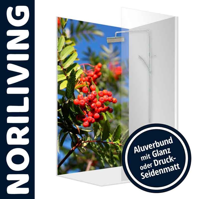 Dekorative Duschrückwand mit leuchtend roten Vogelbeeren und grünem Laub auf Alubund, erhältlich in Glanz oder Druck-Seidenmatt.