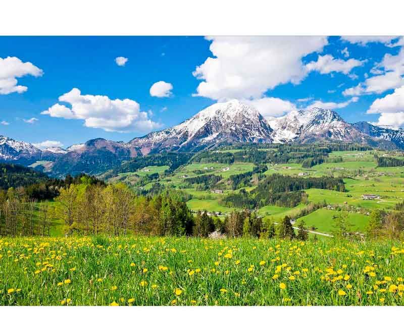 Frühlingslandschaft mit schneebedeckten Bergen, grünen Hügeln und blühender Wiese unter blauem Himmel