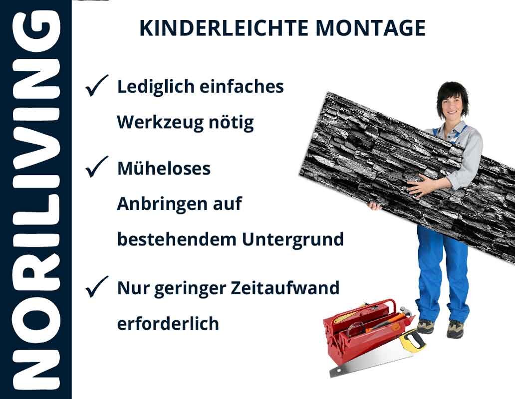 Person mit einer Platte, Text über kinderleichte Montage mit Noriliving, Werkzeugkasten im Bild