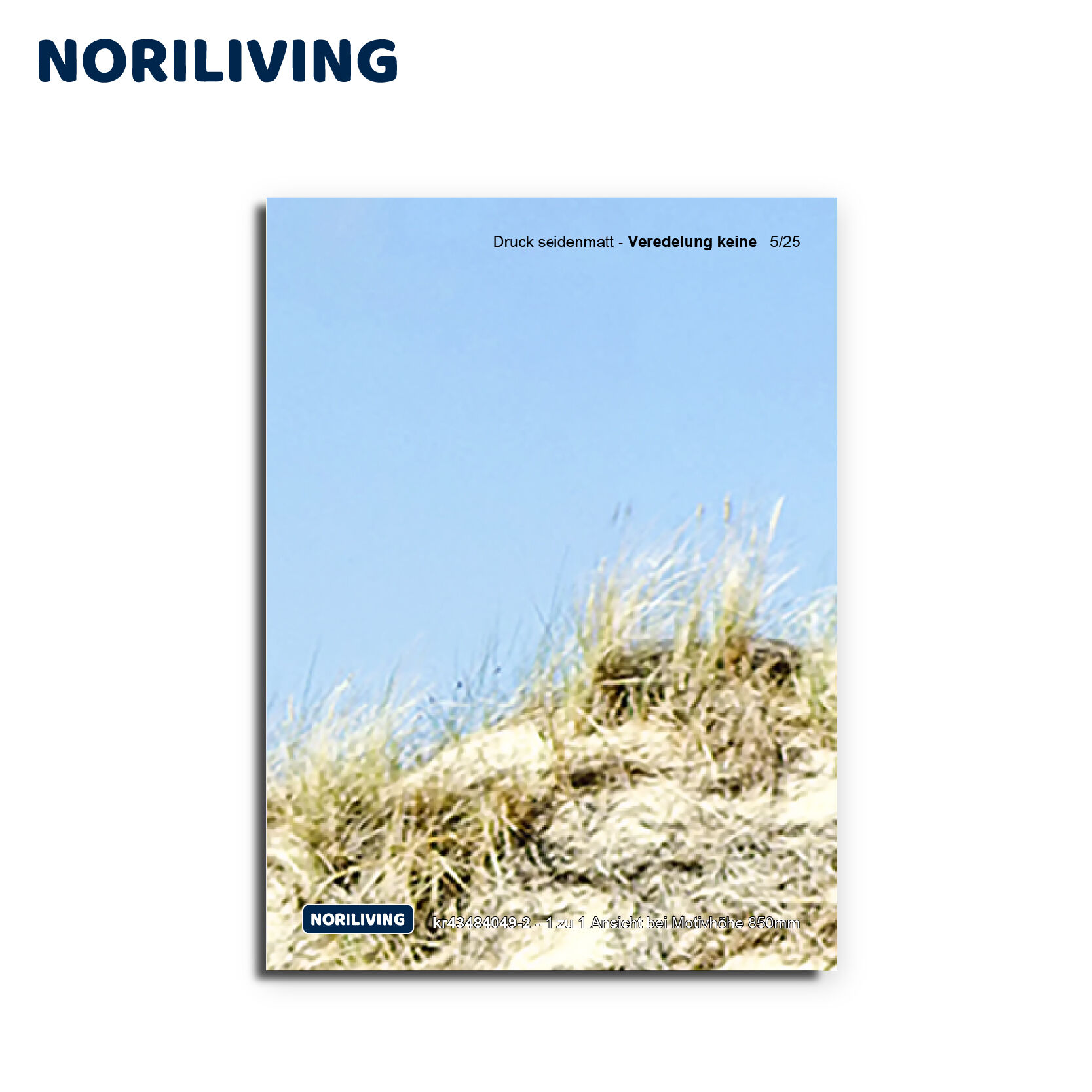Noriliving Druck seidenmatt mit Sanddünen und blauem Himmel