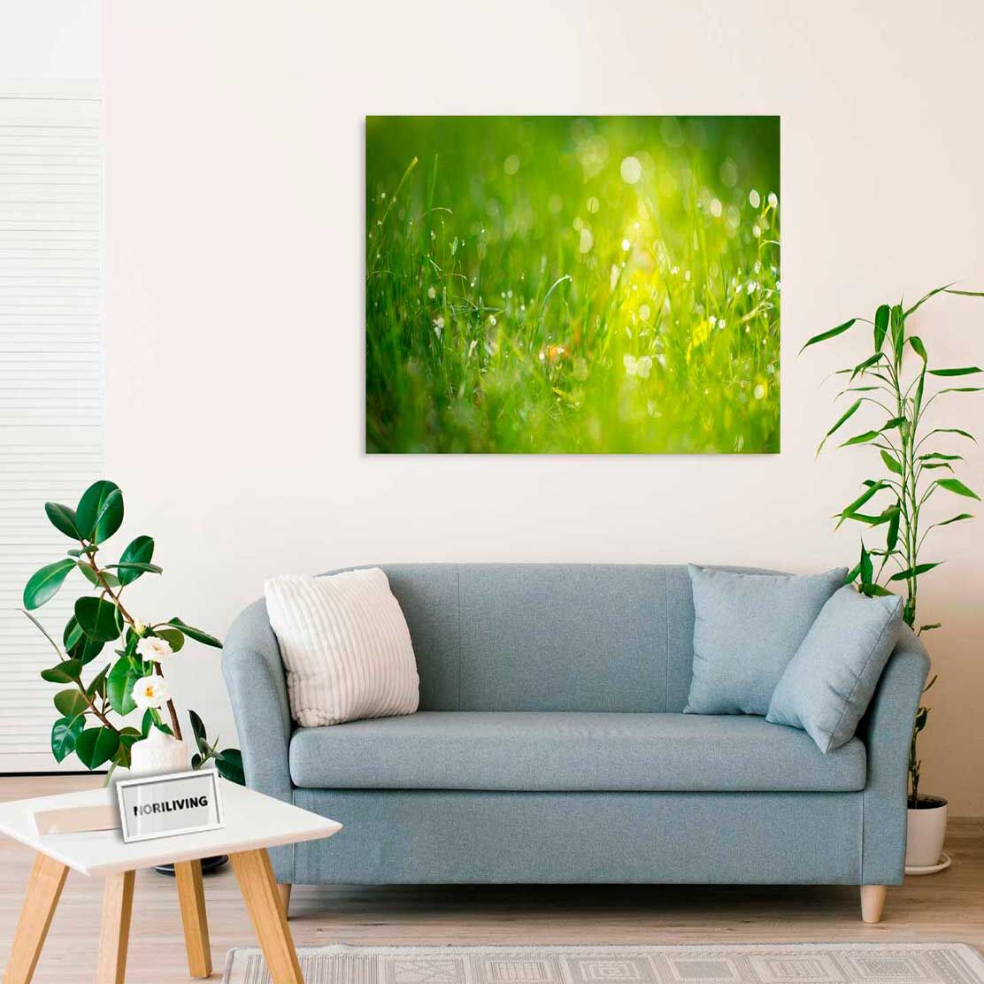 Wandbild über dem Sofa mit Motiv Gras im Morgentau 581