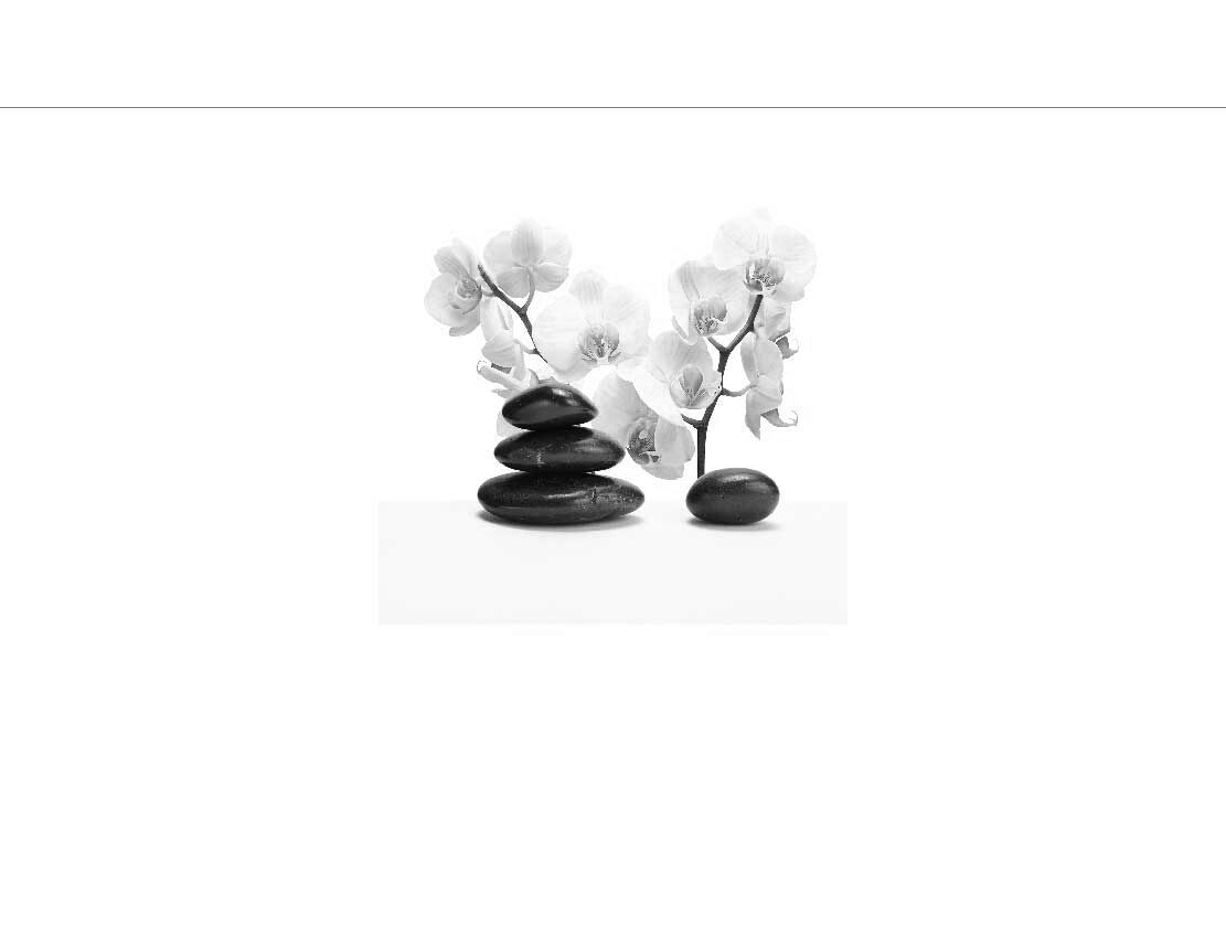 Ansicht des Badrückwand-Motivs Zen Steine mit Orchideen 771 schwarz-weiß