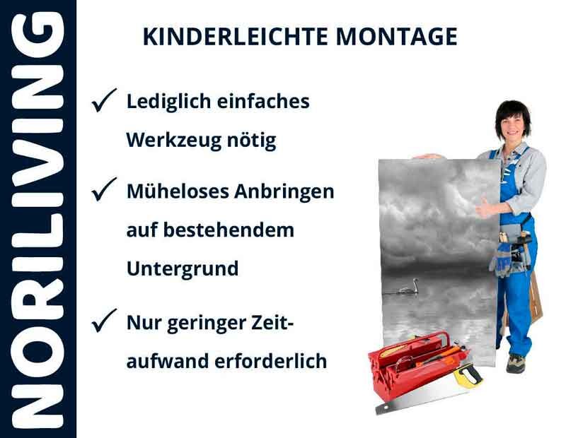 Infografik zur einfachen Montageanleitung von Noriliving mit Frau, Bild und Werkzeug