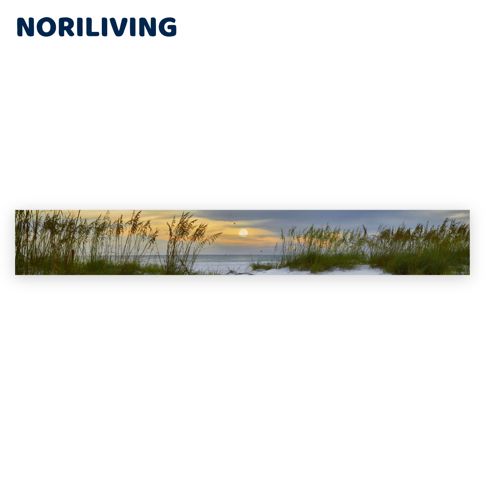 Panorama einer Strandlandschaft bei Sonnenuntergang mit Gras im Vordergrund und einem dramatischen Himmel