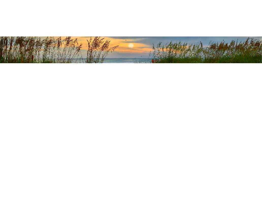 Panoramabild eines Sonnenaufgangs über dem Meer mit Gras im Vordergrund und sanften Farben am Himmel