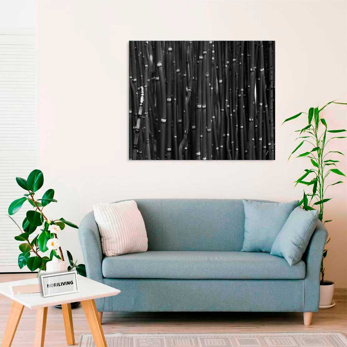 Wandbild über dem Sofa mit Motiv Feiner Bambus 970 schwarz-weiß